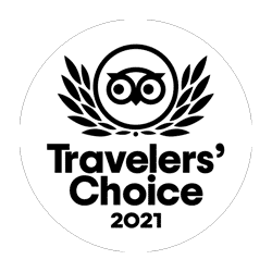 TC-Winner-2021